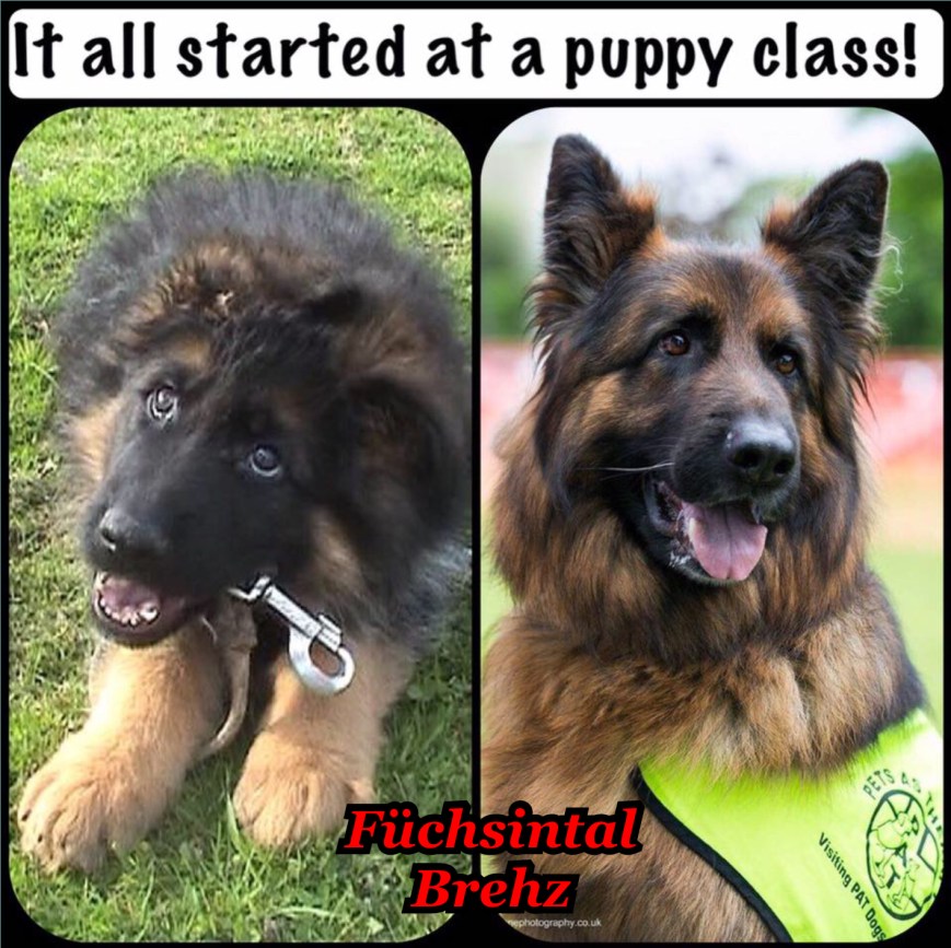 5547107D-1020-48D6-ABAB-20FBC0F98D2C