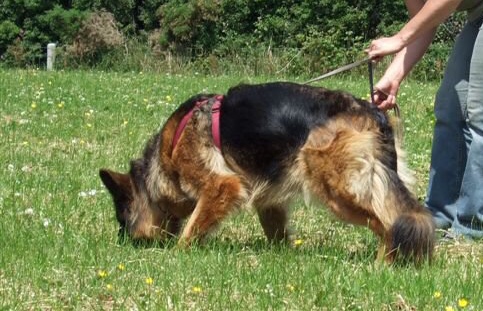 CA578550-7557-4DBB-AF16-7D7162AB6A2A