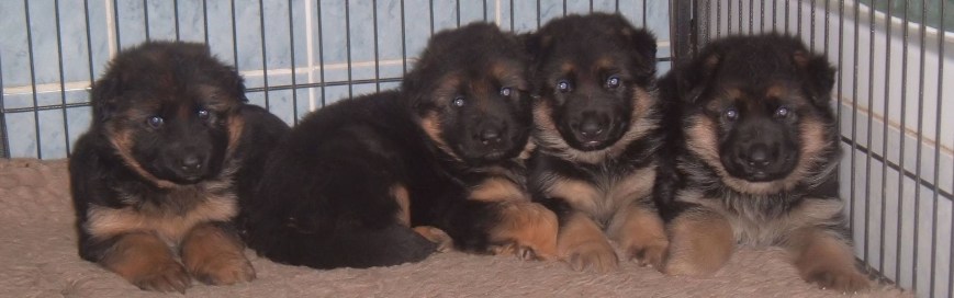 744AEEBB-E0DE-4251-8442-D4912B581562